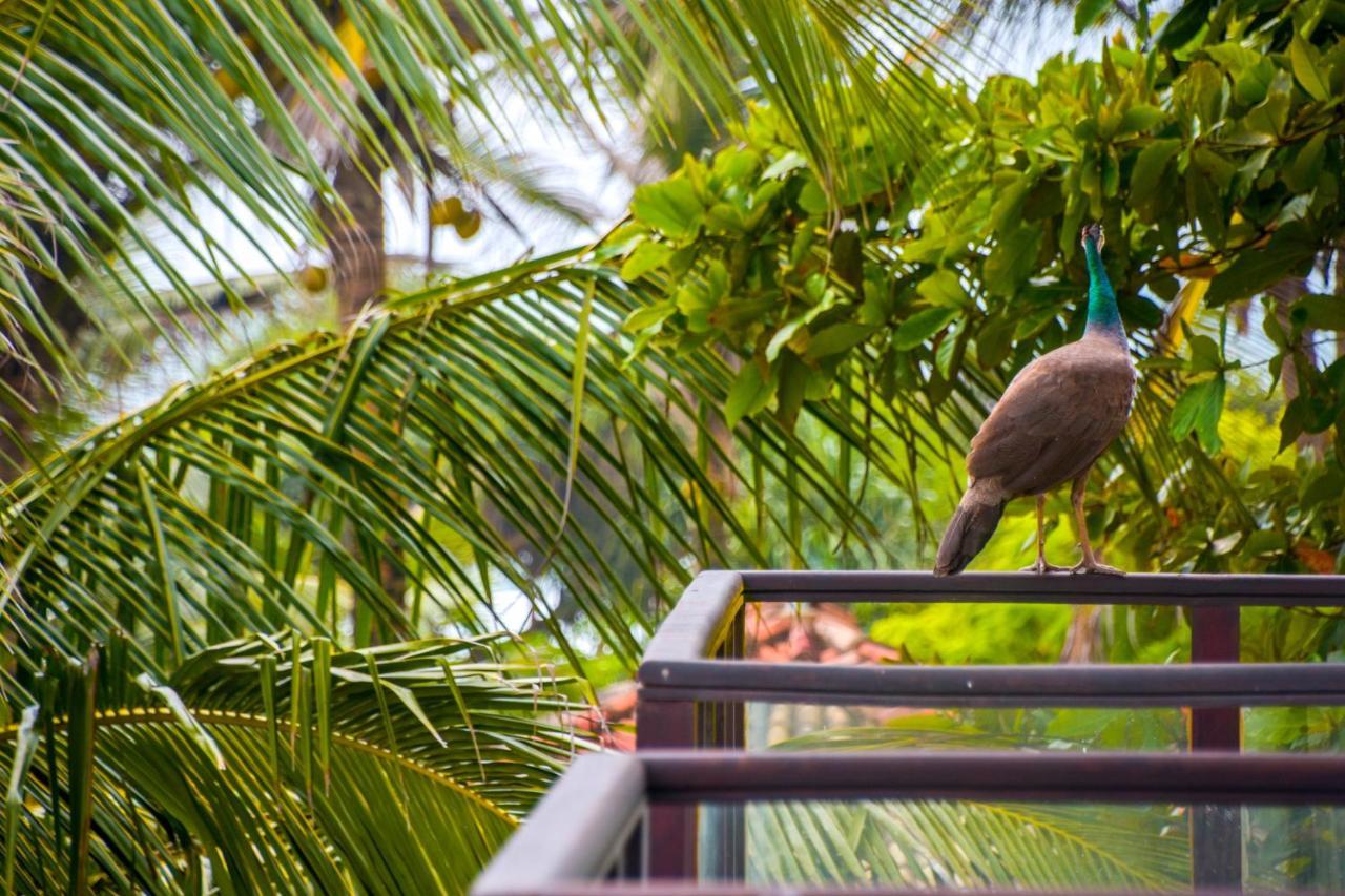 Ara Beach Resort ミリッサ エクステリア 写真